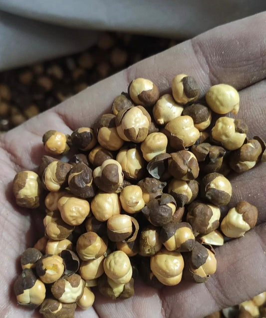 Laxmira Roasted Chana: The Golden Crunch of Bihar’s Soil | From Sun-Drenched Farms to Your Doorstep – Purity You Can Taste.